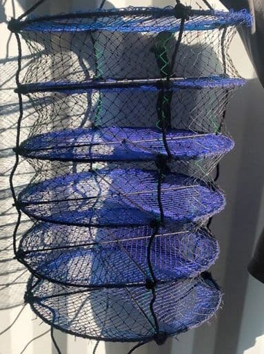 5-Level Growout Net for shellfish aquaculture