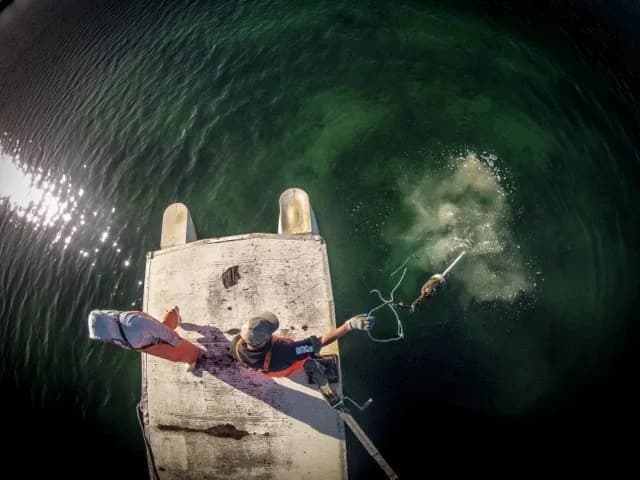 Overhead view of a crew member setting gear from the bow of a skiff