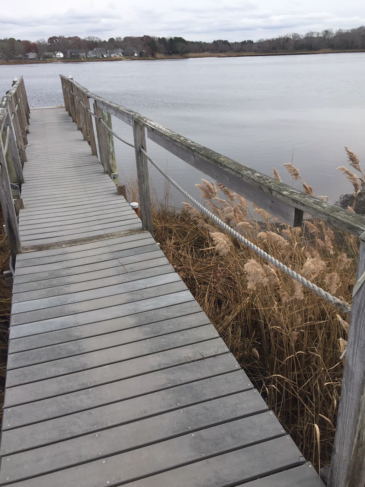 The rope-railed boardwalk leading through marsh grass out to the docks