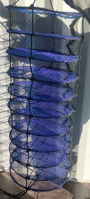 10-Level Growout Net for shellfish aquaculture
