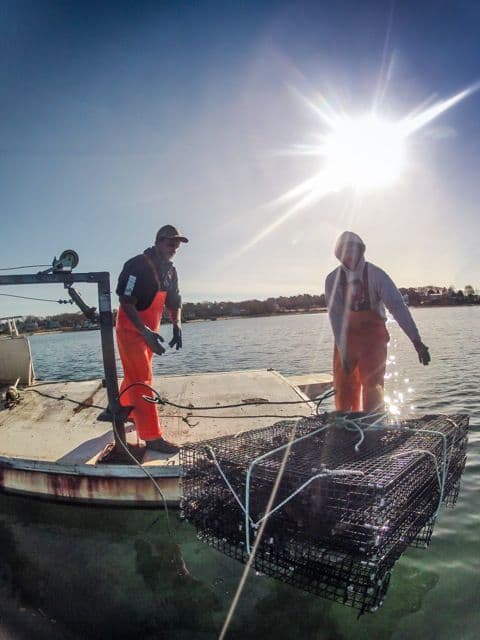 Crew hauling a cage aboard under the sun