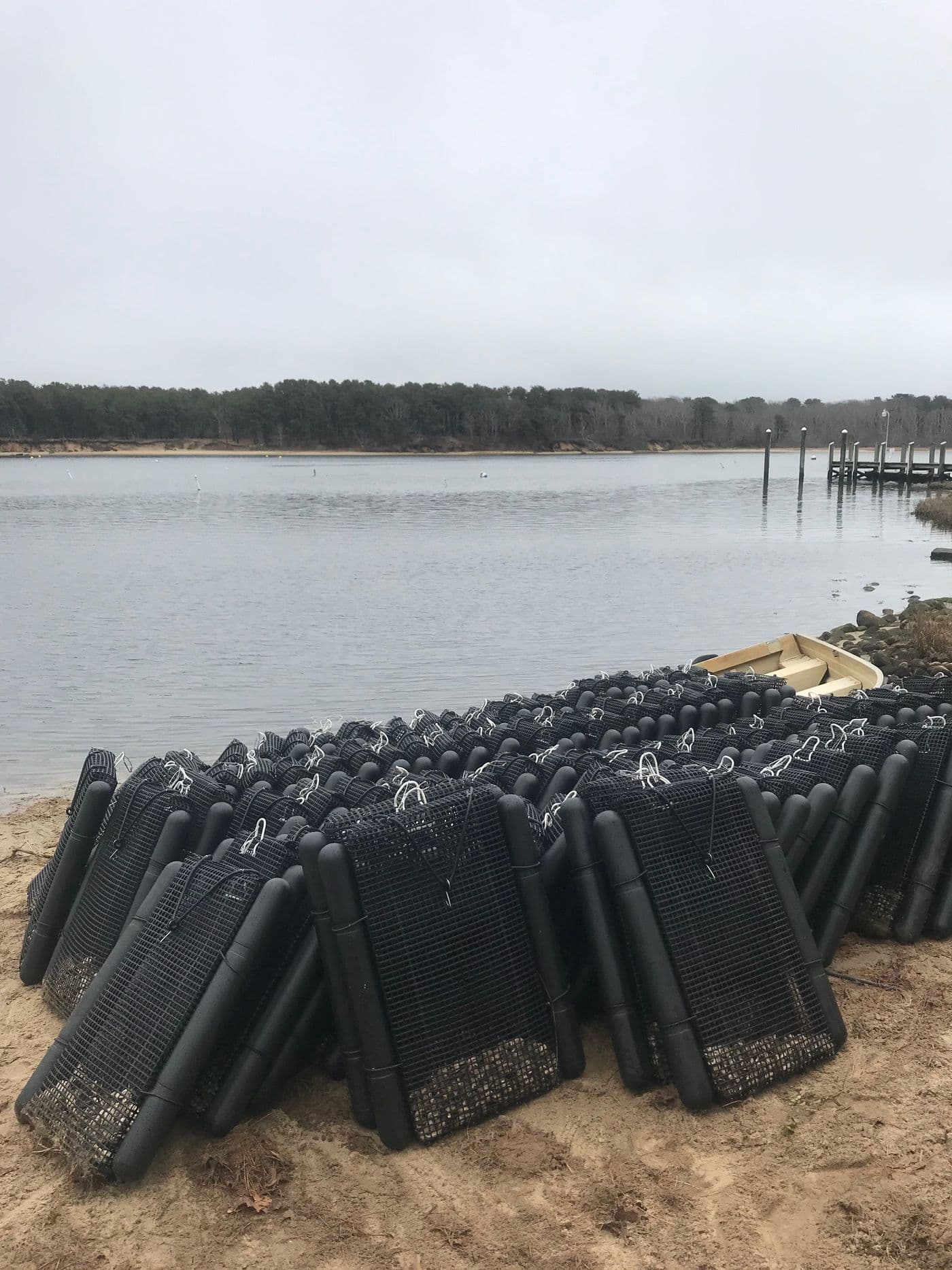 Oyster bags staged at the water's edge on a grey morning