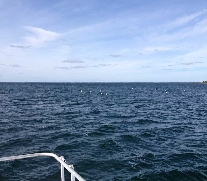 Open water at a propagation site